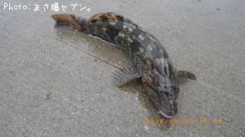 ʥ