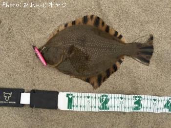 カワガレイ