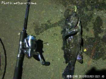 クロソイ