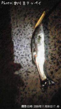 Х