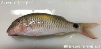 おじさん