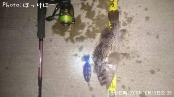 クロソイ