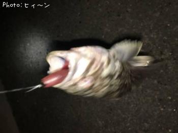 ΥХ