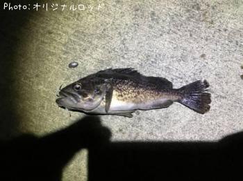 クロソイ