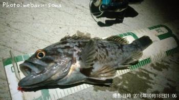 クロソイ