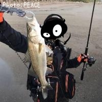 Х