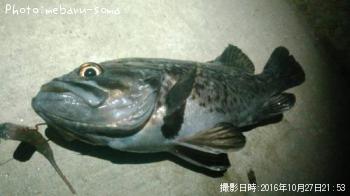 クロソイ