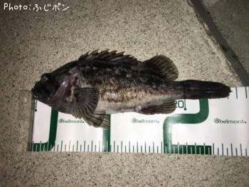 クロソイ