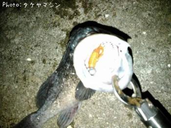 クロソイ