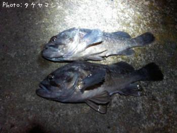 クロソイ