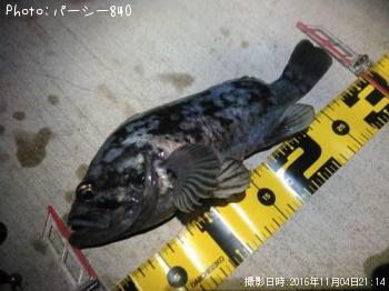 クロソイ