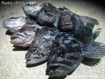 クロソイ