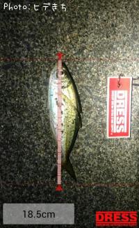 アジ