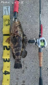 ¥¿¥Î¥³¥á¥Ð¥ë