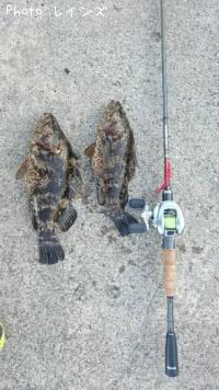 ¥¿¥Î¥³¥á¥Ð¥ë