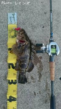 ¥¿¥Î¥³¥á¥Ð¥ë