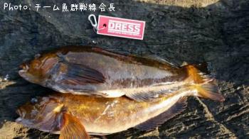 ʥ