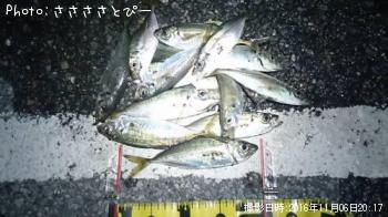 アジ