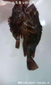 饫