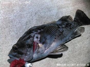 クロソイ