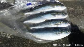 イナダ