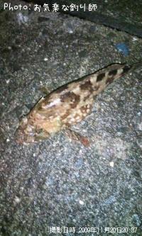 饫