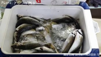 アジ