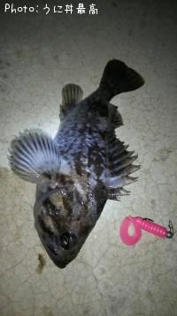 クロソイ