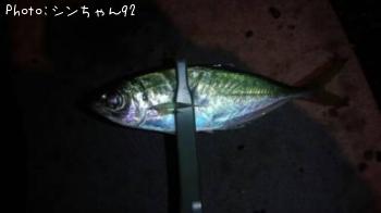 アジ