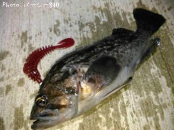 クロソイ