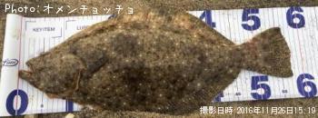 ҥ