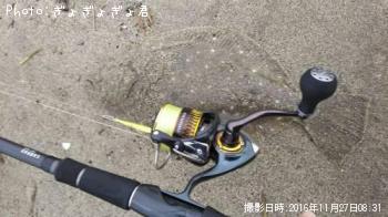 ヒラメ