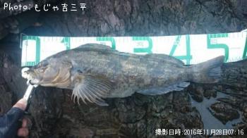 ʥ