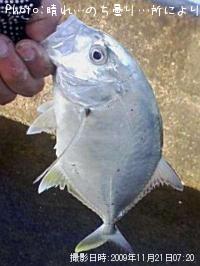 å