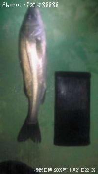 Х