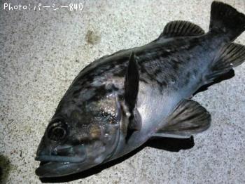 クロソイ