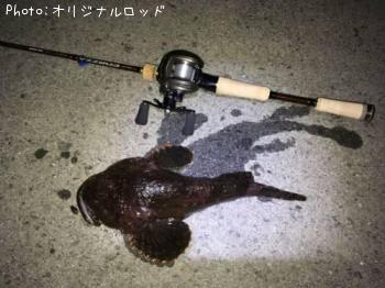 カジカ