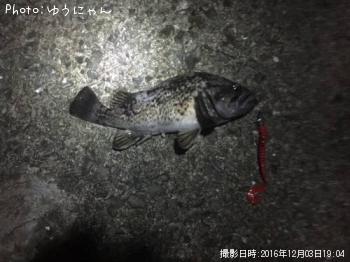 クロソイ