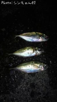 アジ