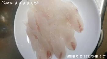 アカヤガラ＆ハタ