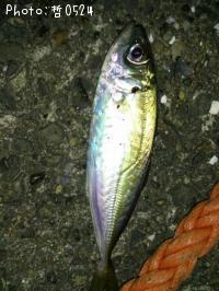 アジ