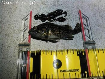 クロソイ