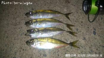 アジ
