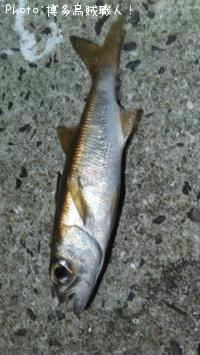 ġ