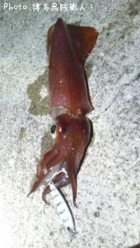 ġ