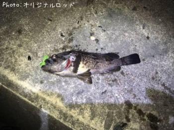 クロソイ