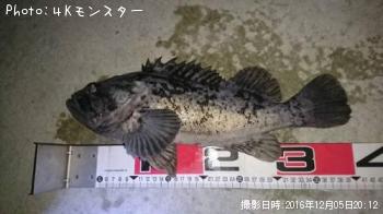 クロソイ