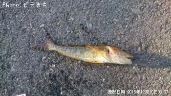 ϥäݤ