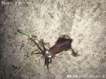 ヒイカ