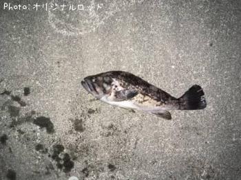 クロソイ